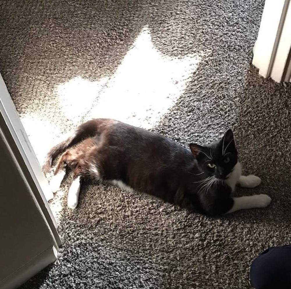 Meet your Posher, Kim